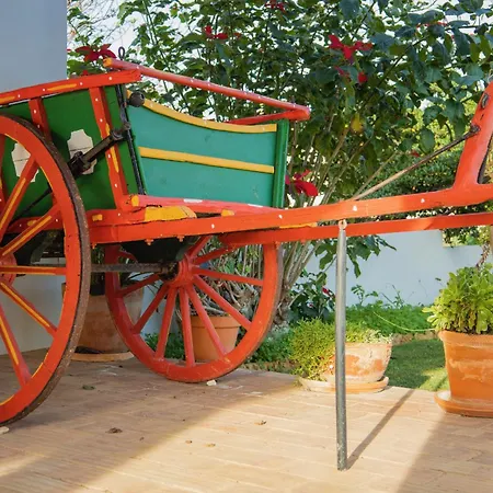 아파트 Spacious With Sea View, Tennis & Golf Garden #1963